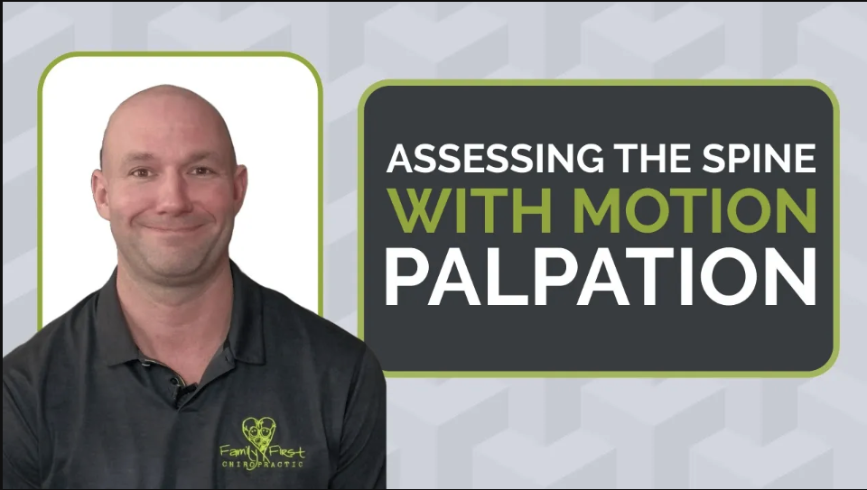 Assessing the Spine With Motion Palpation | Gonstead Chiropractic in West Omaha, NE